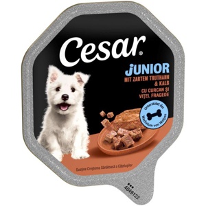 Cesar Junior Schale 14 x 150 g Produktbild