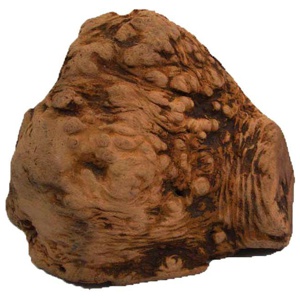 Chewies Kauwurzel Produktbild