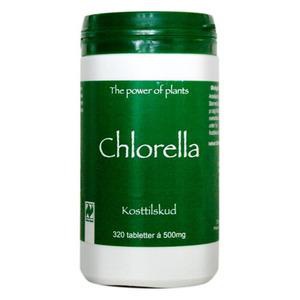 Chlorella Ø 500 mg - 320 tabl. produktbillede