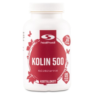 Cholin 500 120 kapsler produktbillede