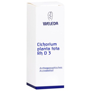 CICHORIUM PLANTA tota Rh D 3 Dilution Produktbild