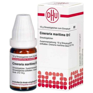 CINERARIA maritima D 12 Globuli Produktbild