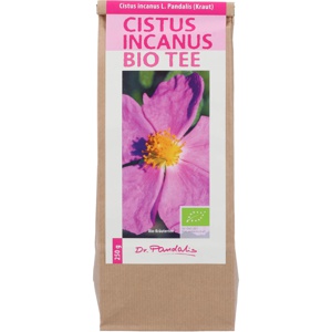 CISTUS INCANUS Bio Tee Produktbild