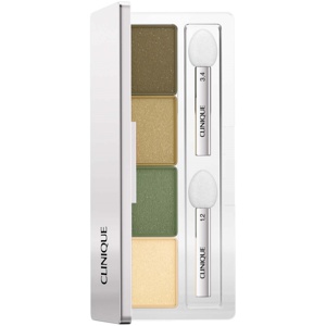 Clinique All About Shadow Quad 33 g - On Safari Produktbild