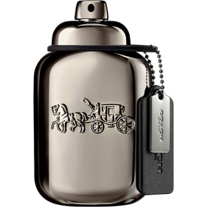 Coach Pure Platinum Parfum 60 ml Produktbild
