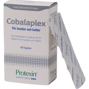 Cobalaplex - 60 kapslar produkt bild