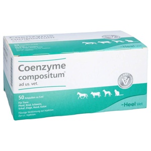 Coenzyme compositum® ad us. vet. Ampullen, 50X5 ml Ampullen Produktbild