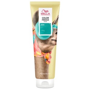 Color Fresh Mask Mint 150 ml produkt bild