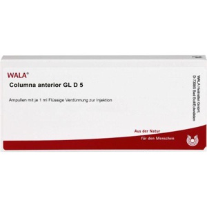 COLUMNA anterior GL D 5 Ampullen Produktbild