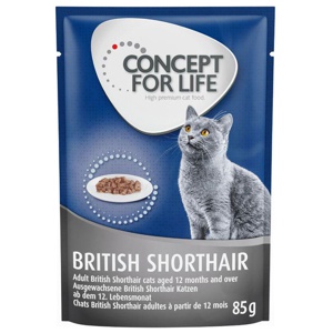 Concept for Life British Shorthair Adult (Ragout-Qualität) Produktbild