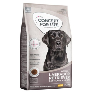 Concept for Life Labrador Retriever Adult Produktbild