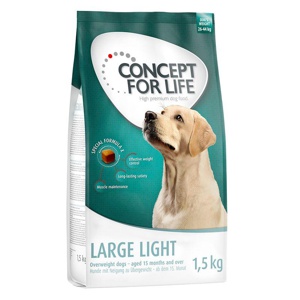 Concept for Life Large Light Produktbild