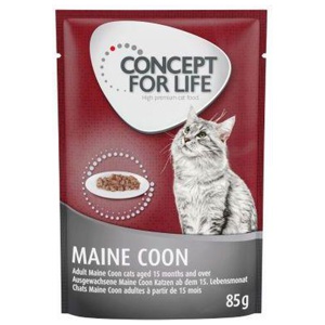 Concept for Life Maine Coon Adult (Ragout-Qualität) Produktbild