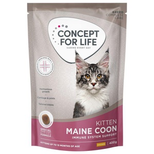 Concept for Life Maine Coon Kitten Produktbild