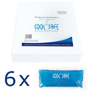 COOL-SAFE-Kuehlakku-Set-m-6-Akkus Produktbild