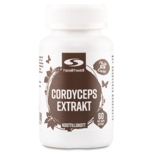 Cordyceps Ekstrakt 60 kapsler produktbillede