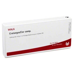 CRATAEGUS COR comp.Ampullen Produktbild