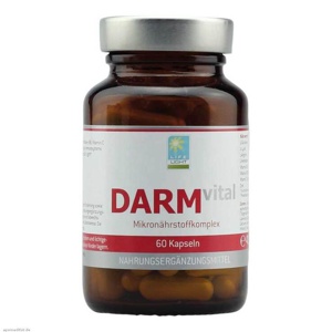 Darm Vital Kapseln, 60 St Kapseln Produktbild