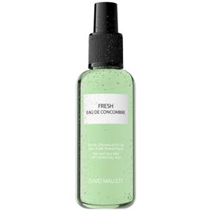 David Mallet – hårvård och huvudhud – 150 ml produkt bild