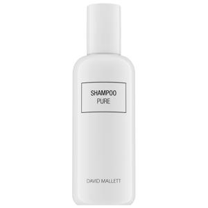 David Mallett Schampo PURE 250 ml produkt bild