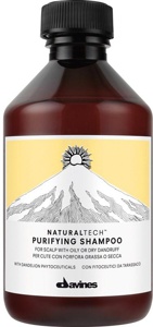 Davines Naturaltech Purifying Shampoo 250 ml produktbilde