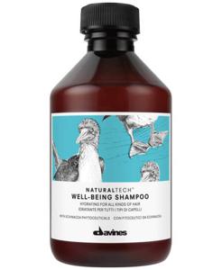 Davines NaturalTech Well-Being Shampoo produkt bild
