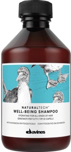 Davines Naturaltech Wellbeing Shampoo 250 ml produktbilde