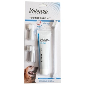 Dental Kit med 3-pack tandborstar - Dental kit produkt bild