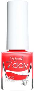 Depend 7day Country Chic 7363 produkt bild