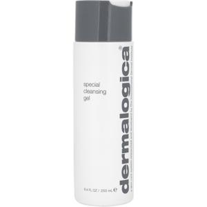 Dermalogica Special Cleansing Gel 250ml produkt bild