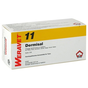 DERMISAL 11 Ampullen vet. Produktbild