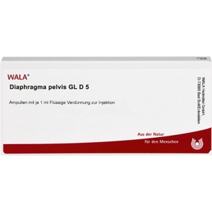 DIAPHRAGMA PELVIS GL D 5 Ampullen Produktbild
