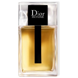 DIOR Homme EdT 100 ml produkt bild