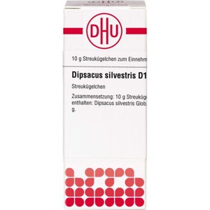 DIPSACUS silvestris D 12 Globuli Produktbild