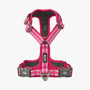 Dog Copenhagen Comfort Walk Air Sele - Wild Rose (M) produkt bild