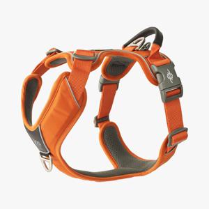 Dog Copenhagen Comfort Walk Pro Sele - Orange Sun (S) produkt bild