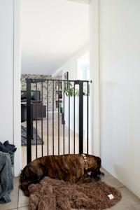 DogSpace Bonnie Hundgrind Svart 735-796x1045 cm produkt bild