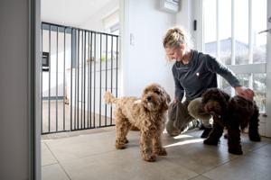 DogSpace Charlie Hundgrind Vit 625-1068x103 cm produkt bild