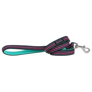DOOG Neon Leine Lead Rin Tin Tin grün/pink Produktbild