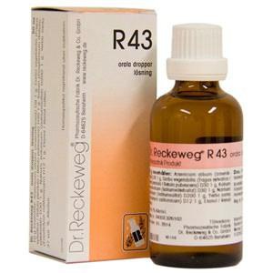 Dr. Reckeweg R 43 - 50 ml produktbillede