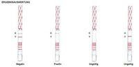 DROGENTEST Tetrahydrocannab.THC 50 ng/ml Teststr. Produktbild