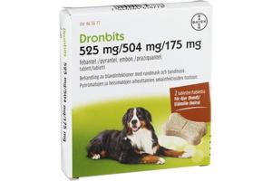 Dronbits tablett 525 mg/504 mg/175 mg 2 st produkt bild