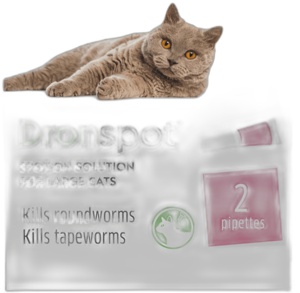 Drontal Dronspot Spot-On Solution for Large Cats Pack of 2 product image