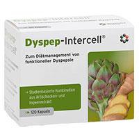 DYSPEP-Intercell-Kapseln Produktbild