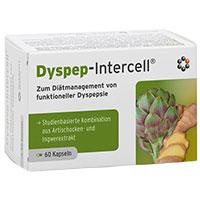 DYSPEP-Intercell Kapseln Produktbild