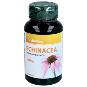 ECHINACEA 1000mg 90 St Kapseln Produktbild