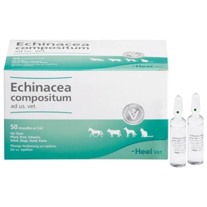 ECHINACEA COMPOSITUM ad us.vet.Ampullen Produktbild
