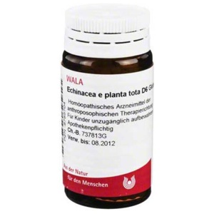 ECHINACEA E planta tota D 6 Globuli Produktbild