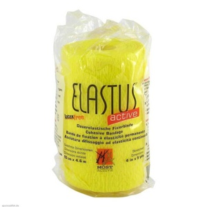 Elastus Active Bandage 10cmx, 1 St Binden Produktbild