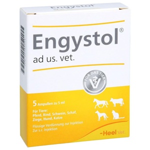 ENGYSTOL ad us.vet.Ampullen Produktbild